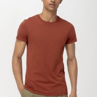 hessnatur Herren T-Shirt Zwirnjersey aus Bio-Baumwolle – braun –